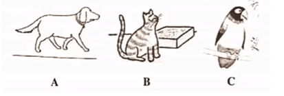 Listening practice test 04