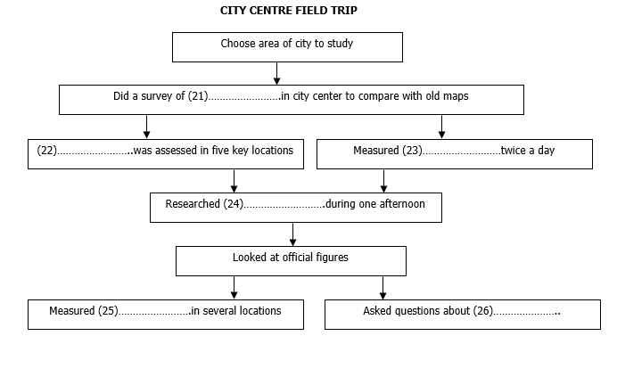 City centre field trip