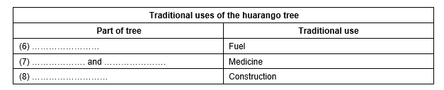 Environmental practices of big businesses