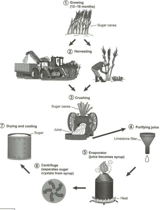 writing-test-6-task-1-concise.cyou